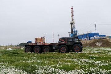 Архант 10